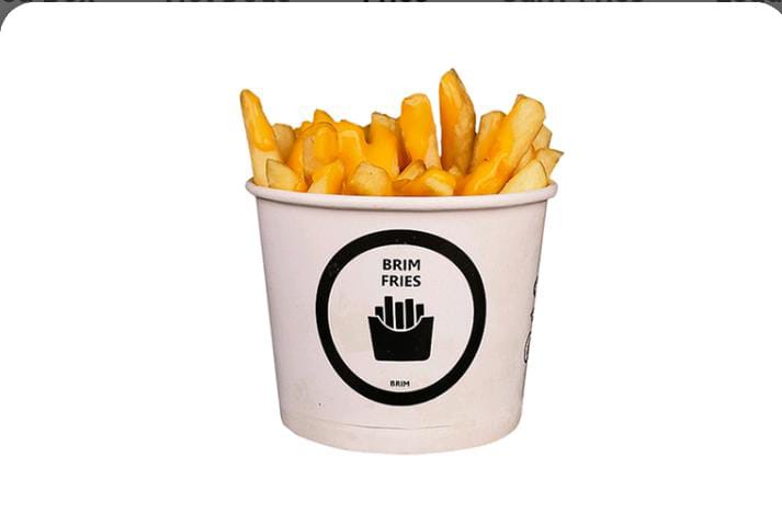 Cheesy Fries
