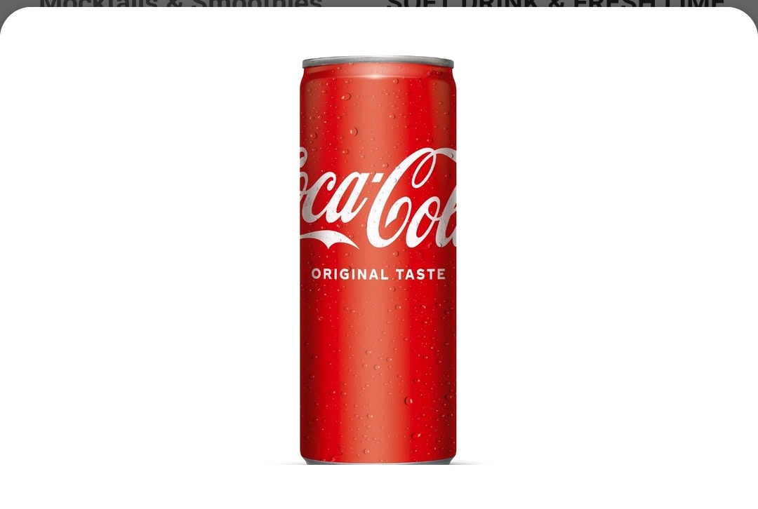 Coca-Cola Can - 250 ml