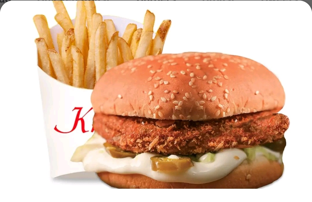 Chicken Burger & Fries