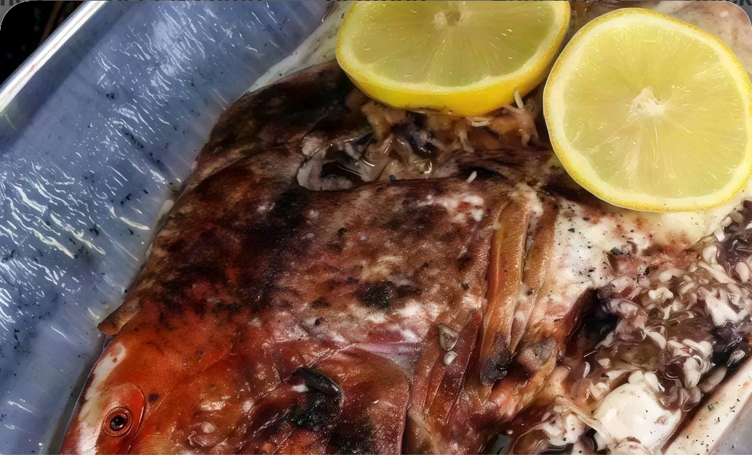 Red Snapper